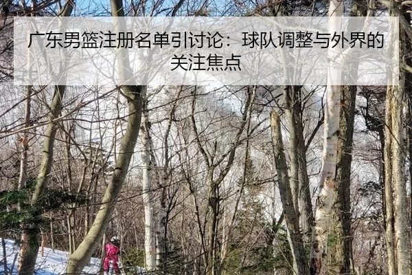 广东男篮注册名单引讨论：球队调整与外界的关注焦点